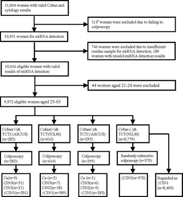 The Value of MicroRNA-375 Detection for Triaging Primary Human Papillomavirus Positive Women: A Cross-Sectional Study in a General Population